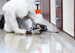 Rid of Roaches