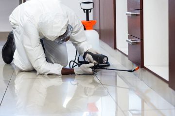 Rid of Roaches