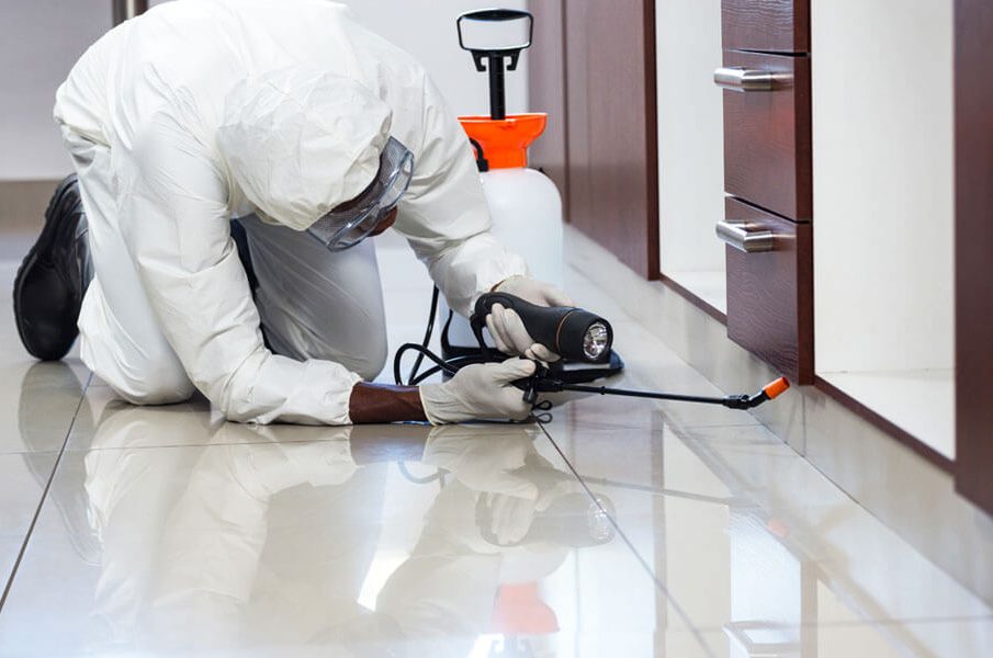 Rid of Roaches