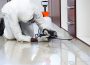 Rid of Roaches