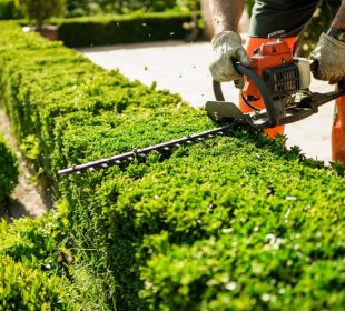 Creative Landscaping